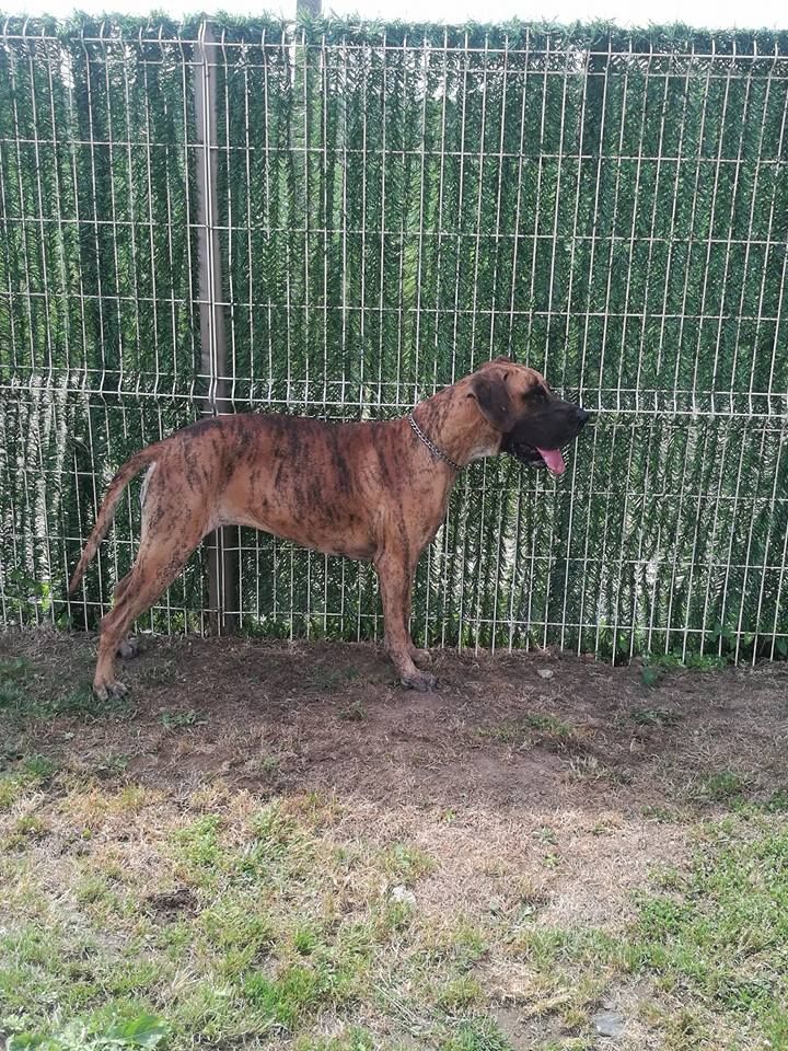 OLYMPE